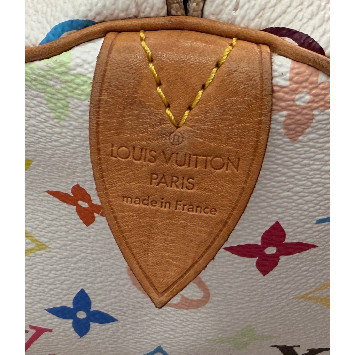 Louis Vuitton Monogram Multicolor x Takashi Murakami 2003 Monogram Speedy 30 handbag