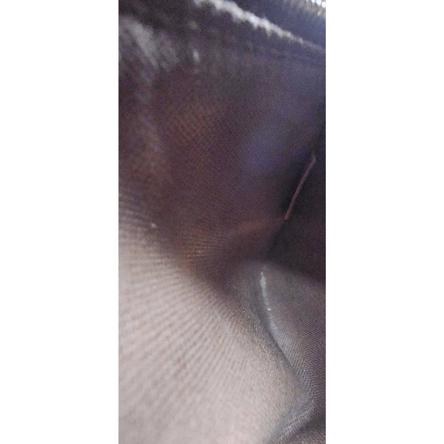LV Monogram Looping Mini