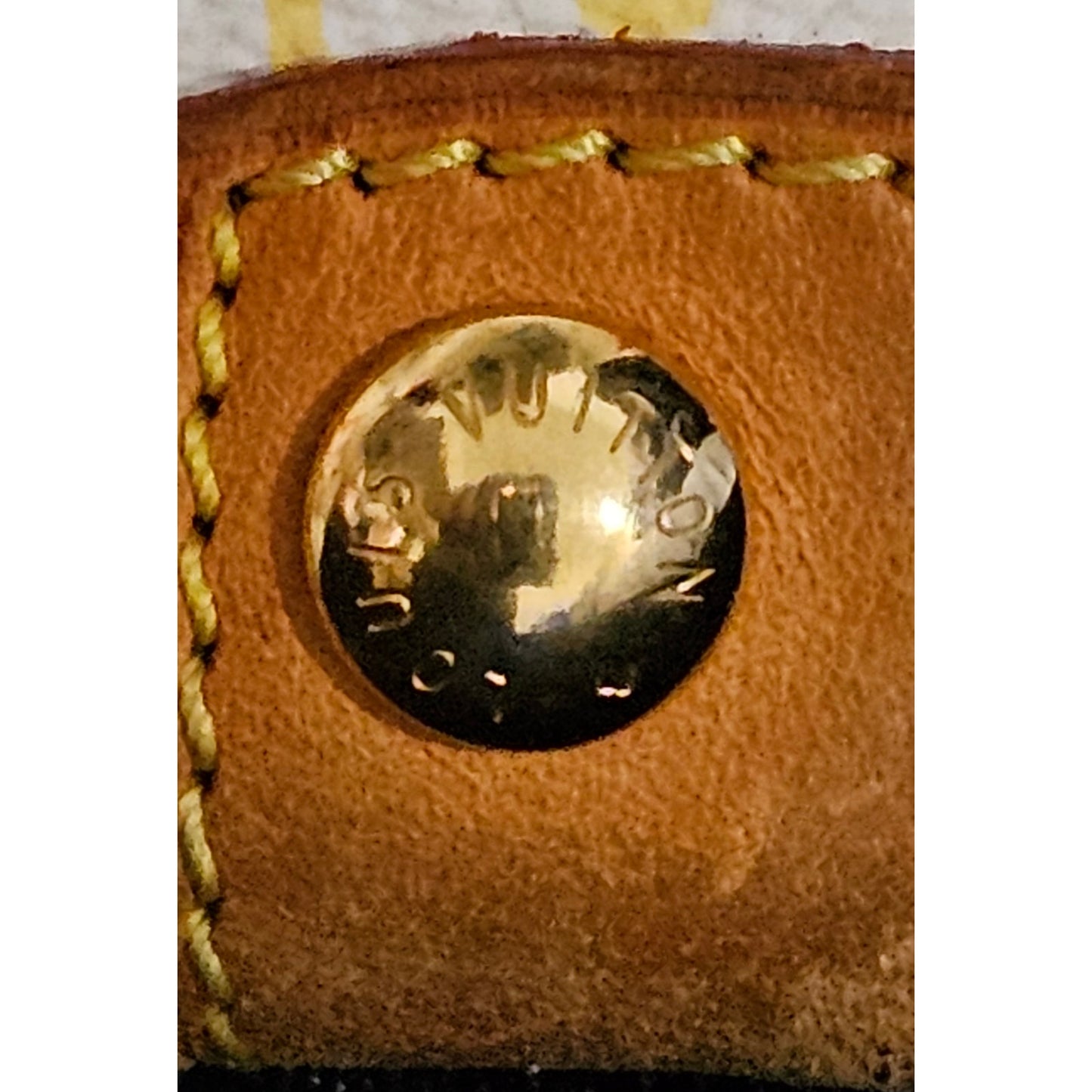 Louis Vuitton Monogram Multicolore "Eliza" shoulder bag