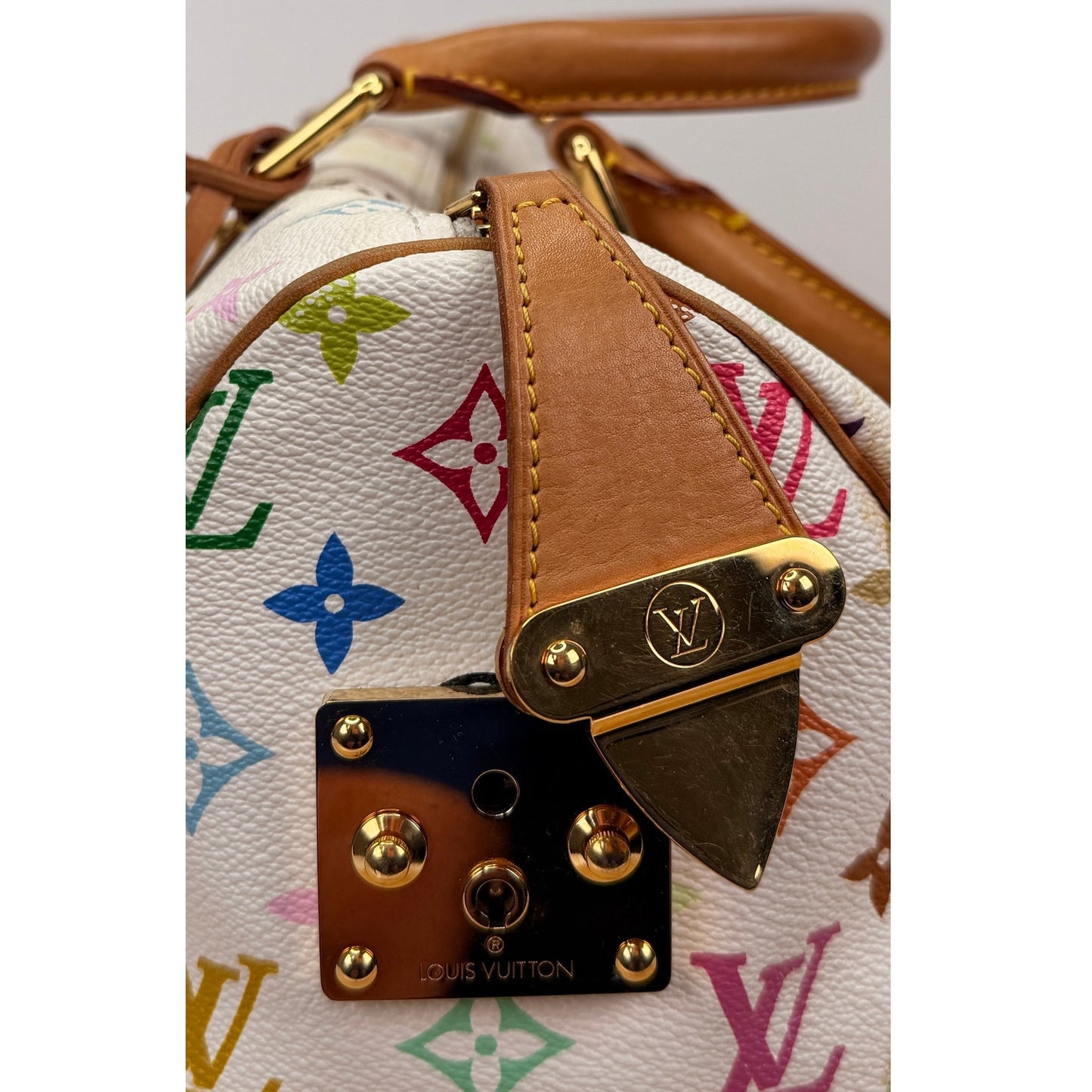 Louis Vuitton Monogram Multicolor x Takashi Murakami 2003 Monogram Speedy 30 handbag