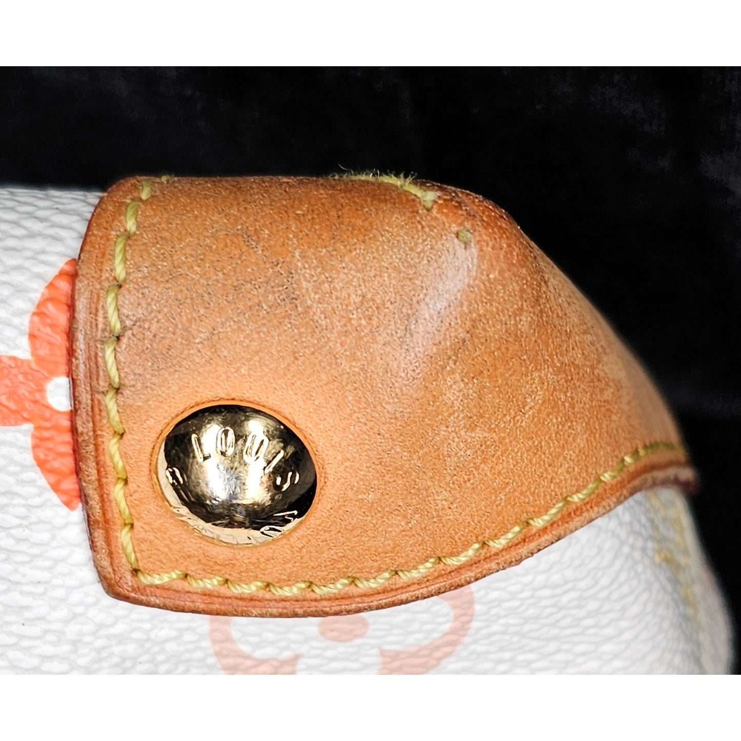 Louis Vuitton Monogram Multicolore "Eliza" shoulder bag