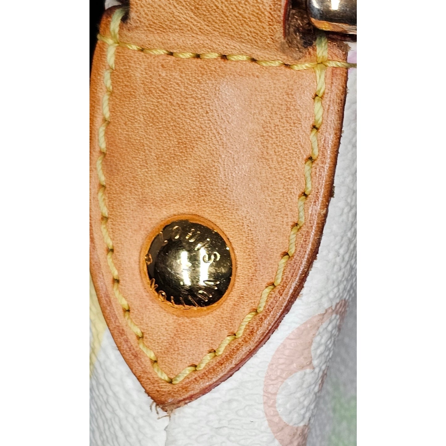 Louis Vuitton Monogram Multicolore "Eliza" shoulder bag